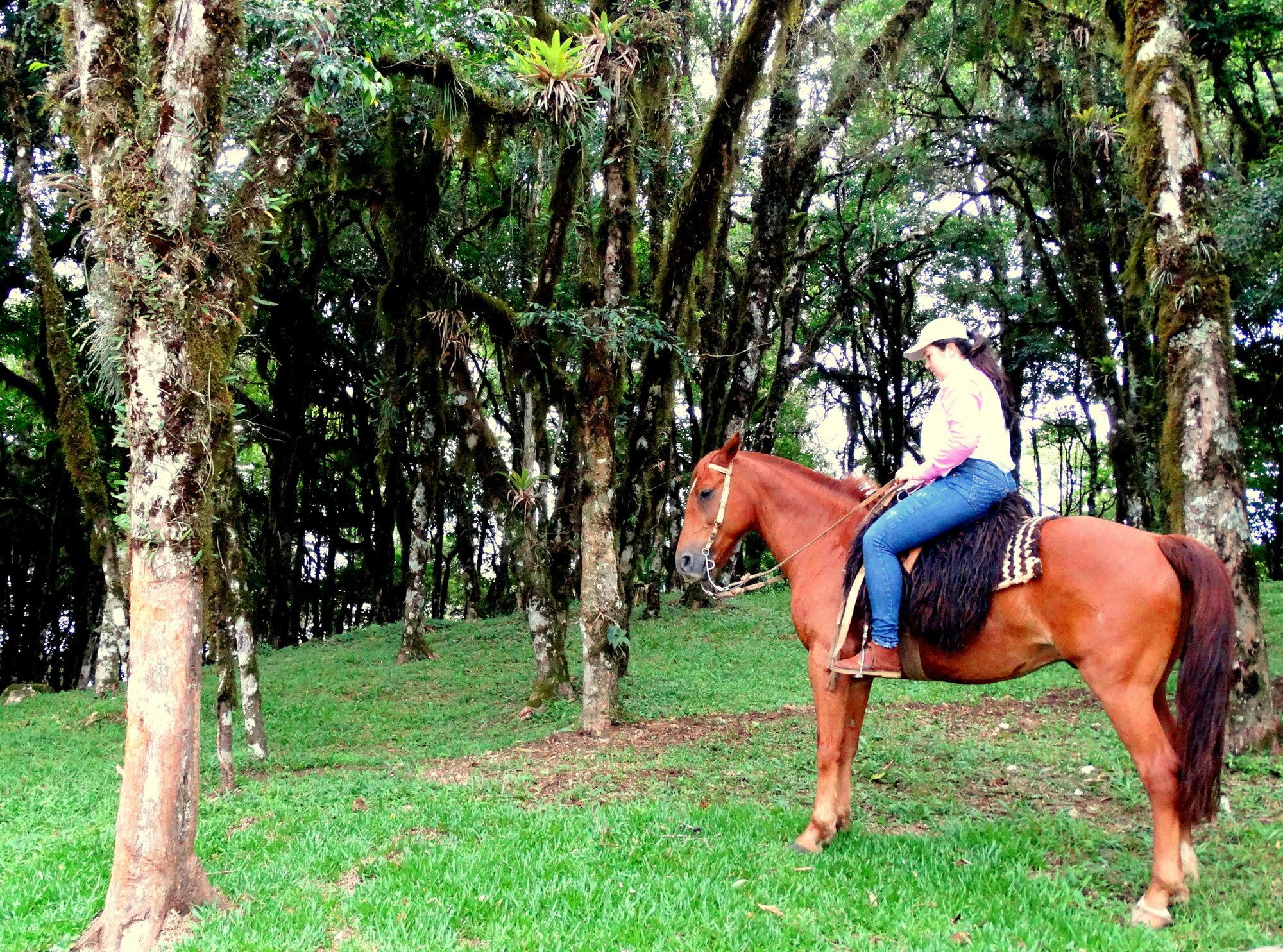 Pousada Chales Da Montanha Gramado Exterior foto